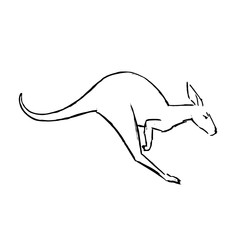 Jumping kangaroo illustration. Hand drawn sketch.