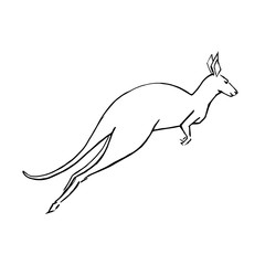 Jumpimg kangaroo. Hand drawn animal illustration.