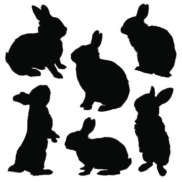 Rabbit silhouette set. Vector illustration set 1