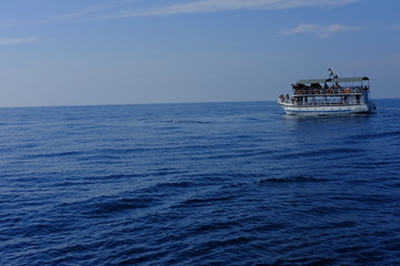 ship in the sea