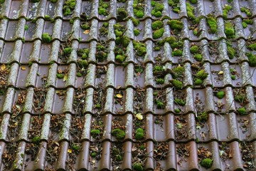 Roof tiles with moss and leaves laying on the shingles