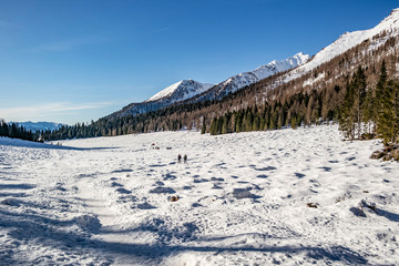 Fototapeta na wymiar Snowy view at Calaita lake, Siror - Trentino Alto Adige, Italy