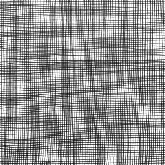 Hand drawn grid texture. Thin black lines on white background. Vector sketch freehand texture