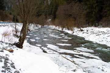 Fototapeta na wymiar Winter frozen river, Carpathian mountains, Ukraine.