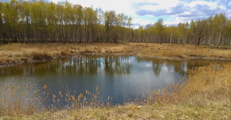 reflection of trees in lake