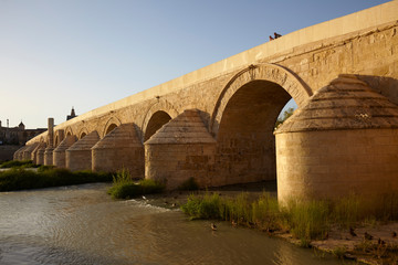 Fototapeta na wymiar The Roman Bridge over the Guadalquivir river and the Mosque Cathedral of Córdoba, Andalusia, Spain