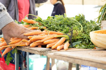 A variety of fresh vegetables for sale at a local market