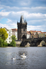 Obraz premium close up view of the Vltava river 