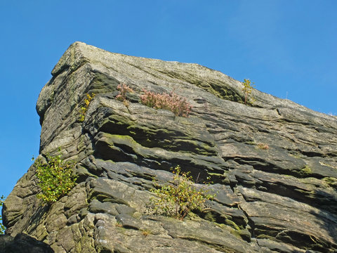 a rough grey sandstone moorland outcrop with heather and plants growing n the cracks against a blue sunlit sky