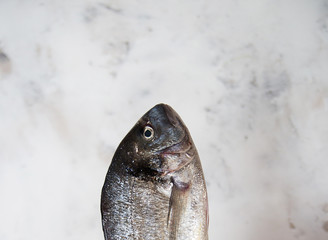 seafish fishoil balancednutrition healthyfood vitamins antioxidants dietetics balanced