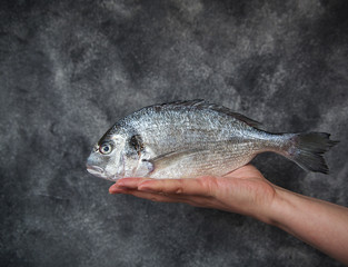 healthy food healthy eating fishing ingredient omega3