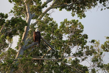 Nature is Florida's Treasure