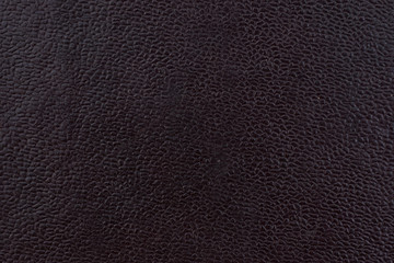 Textura macro de piel negra