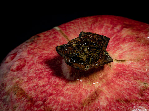 pomegranate calix