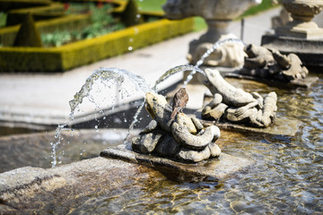thermal water source in Karlovy Vary
