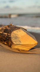 wood washed up on the beaches