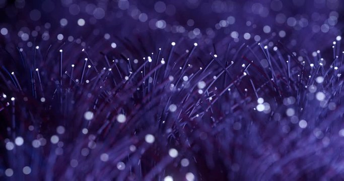 Fibre Optic Terminations. Fiber Optics With Flashing Light Signals. Digital Data Communication Along Fiber Optics Cable. Bunch of Colored Optical Fibres With Bokeh. Blur With DOF. Seamless Loop.