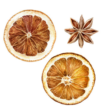 Anise star dried orange slices watercolor isolated on white background