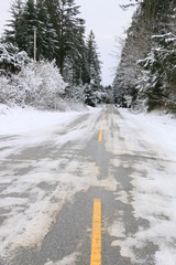 Canadian Road in Winter