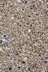 Background with different and small sea pebbles