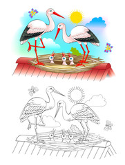 Illustration of happy stork family with mother, father and babies in the nest. Colorful and black and white page for coloring book for kids. Printable worksheet for children textbook. Vector image.