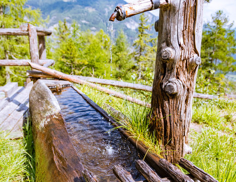 romantischer alter Baum Waldbrunnen Wassertropfen