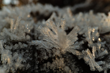 Close up Frost Crystals