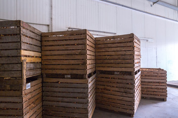 Onion storage. Crops warehouse. Dry cool storage. Stacked wooden crates with onion bulbs.