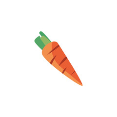 Isolated carrot vegetable vector design
