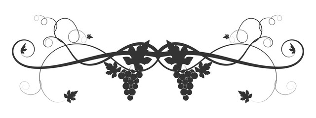 drawn vine grape weaving on a white background