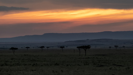 Fototapeta na wymiar Sunset on the savannah in Masai Mara
