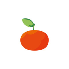 Isolated tangerine fruit vector design