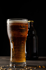beer bottle on black background with glass of beer