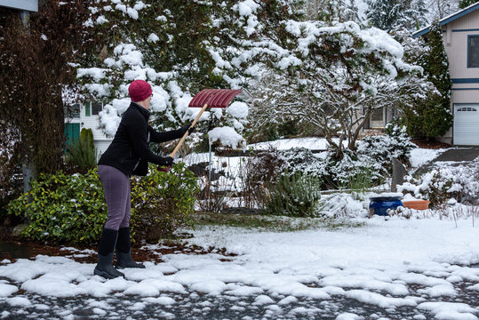 Mature woman knocking wet heavy snow off a pine tree in a garden, snow day