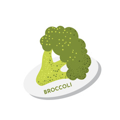 Raw fresh textured broccoli isolated on white background. Vegan healthy food concept vegetable on plate.
