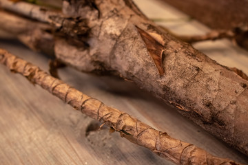 flor,madeira, natureza, composição, floral, 