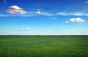Beautiful landscape with an amazing blue cloudy sky and green grass