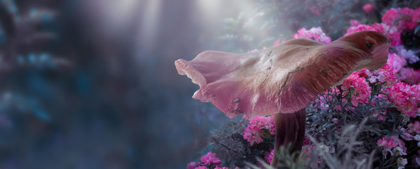 Magical fantasy large mushroom in enchanted fairy tale forest with fabulous fairytale blooming pink rose flower garden on blurred mysterious blue background and shiny glowing moon rays in the night © julia_arda