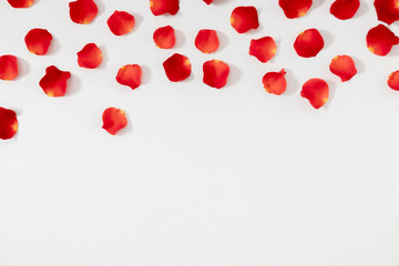 Beautiful flowers minimal composition. Rose petals on white background. Valentine's Day, Happy Women's Day. Flat lay, top view, copy space