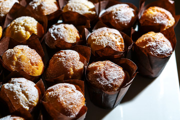Fresh cupcakes sprinkled with powdered sugar