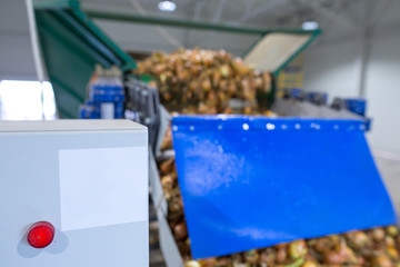 Device control panel of conveyor sorting line. Production facilities for grading, packing and storage of crops, foods or goods of large agricultural companies. Onion bulbs sorts.