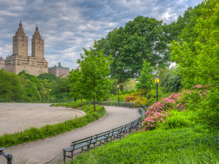 Central Park summer