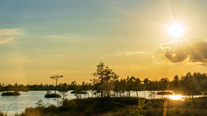 Fototapeta premium Orange sunset over the swamp. Ecology, nature and reserve concepts.