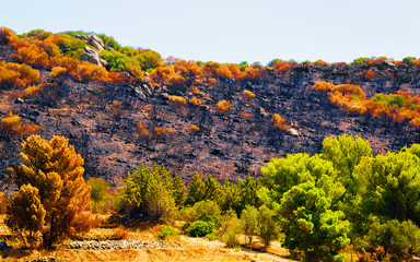 Fototapeta premium Landscape and Beautiful Scenery with mountains in Carbonia. Panorama in South Sardinia island of Italy. Sardegna in summer. Cagliari province. Mixed media.