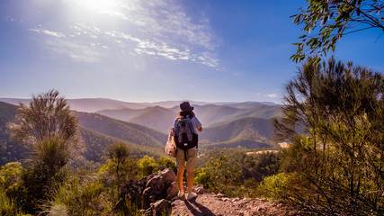 Fototapeta premium Have a nice view of Macalister Gorge in Victoria of Australia