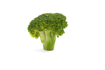 Highly detailed fresh broccoli, isolated on white. close up shoot.
