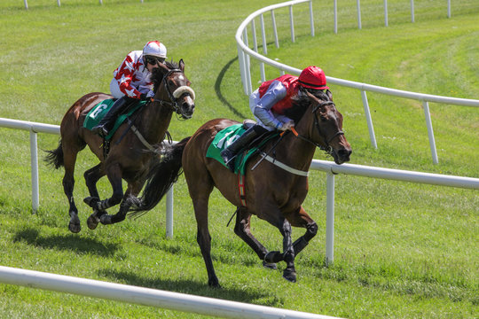 Two race horses and jockeys competing