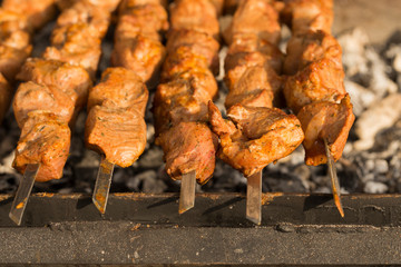 Meat slices prepare on fire. Baked meat on skewers.