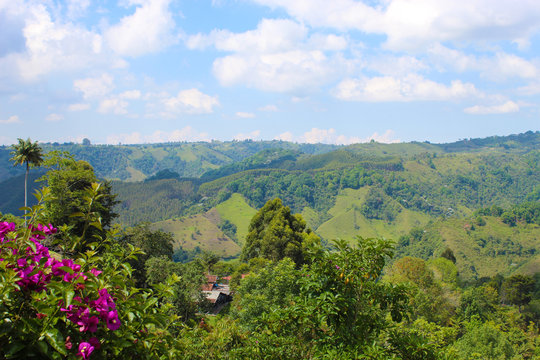 Paisaje monta&ntilde;oso en eje cafetero colombiano