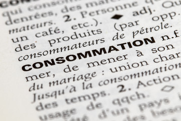 Consommation - Définition du mot dans le dictionnaire français